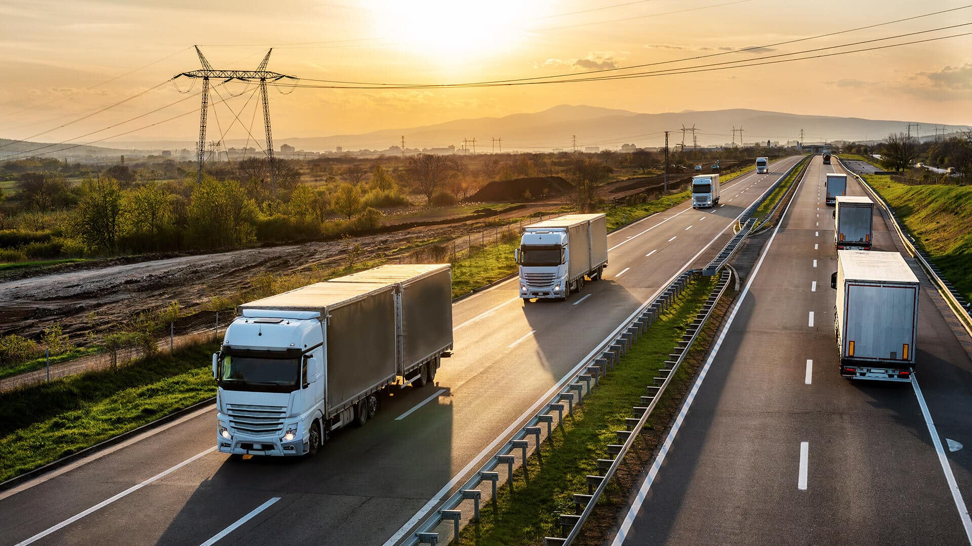 Road freight delivery trucks for importing or exporting cargo