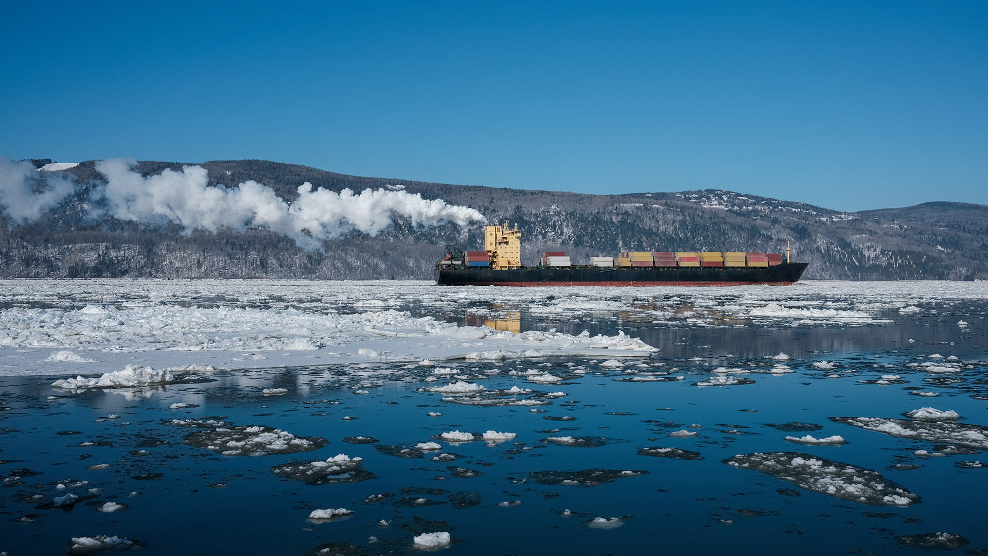 Supply Chains External Forces