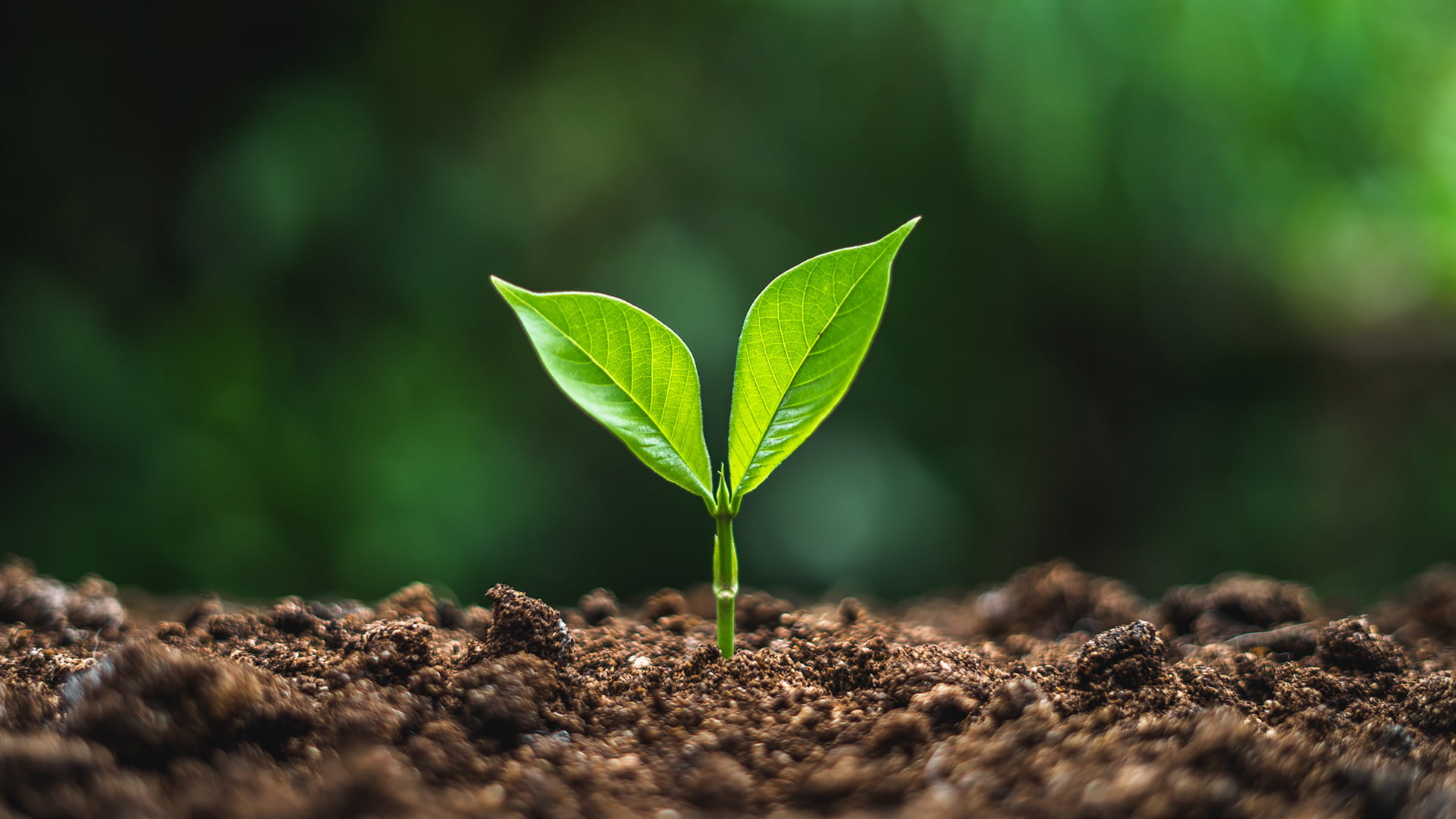 The-Sustainability-Challenge_Image Reverse Logistics sustainability
