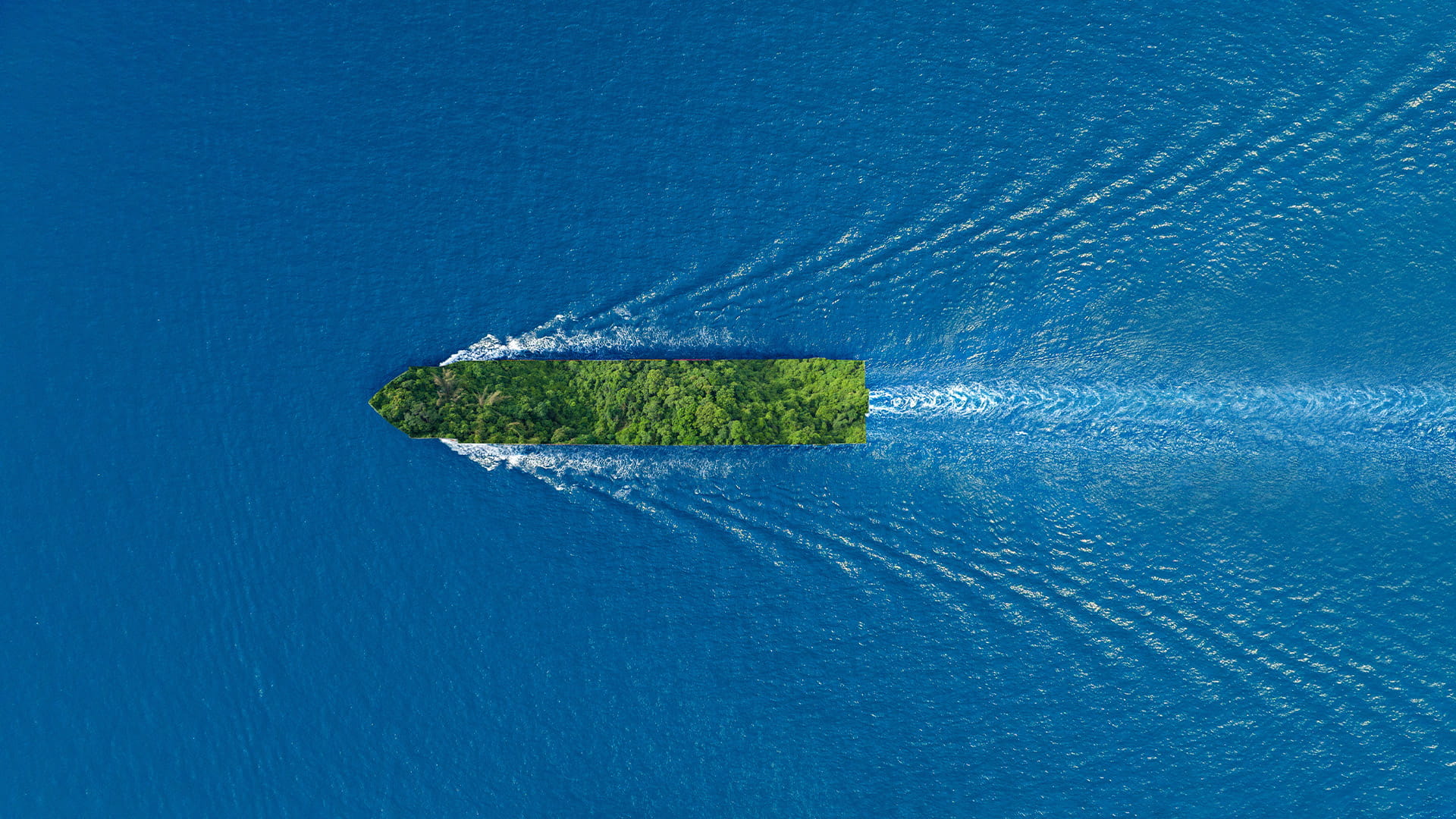 Carbon-Regulation-Could-Add-More-Uncertainty_Image Global Shipping Carbon Regulation