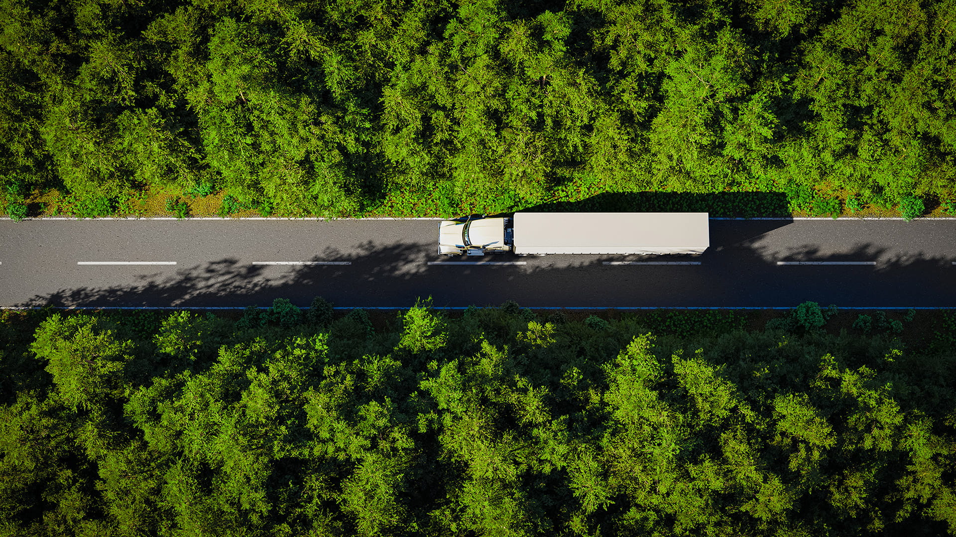 Quiet Improvements practical cleaner freight